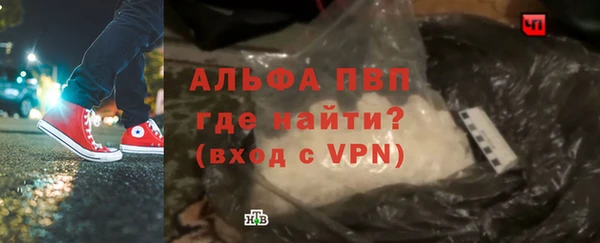 хмурый Верея