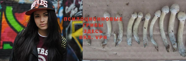 ECSTASY Верхний Тагил
