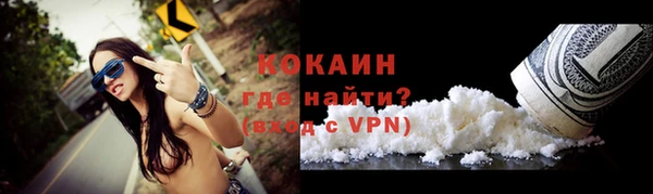 хмурый Верея