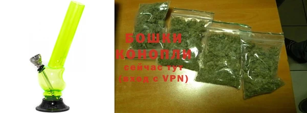 хмурый Верея