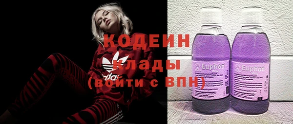 хмурый Верея