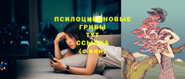 гидра Волосово