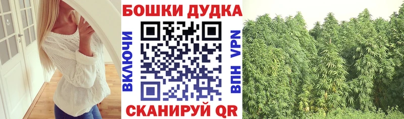 МАРИХУАНА конопля  Купить где  Вытегра 